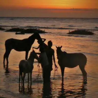 Play Skid15 Play Skid15