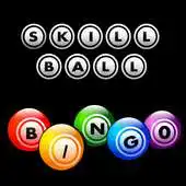 Free play online Skill Bingo APK