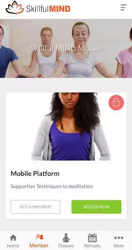 Play SkillfulMind as an online game SkillfulMind with UptoPlay