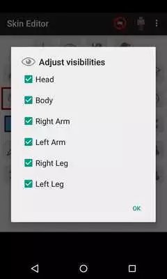 Play Skin Editor