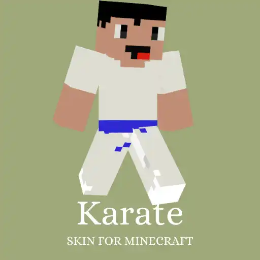 Play Skin Karate and Maps for Minecraft APK