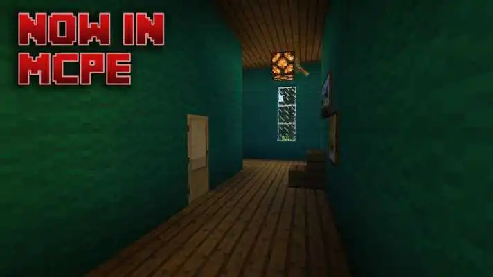 Play Skins and Map Neighbor for MCPE