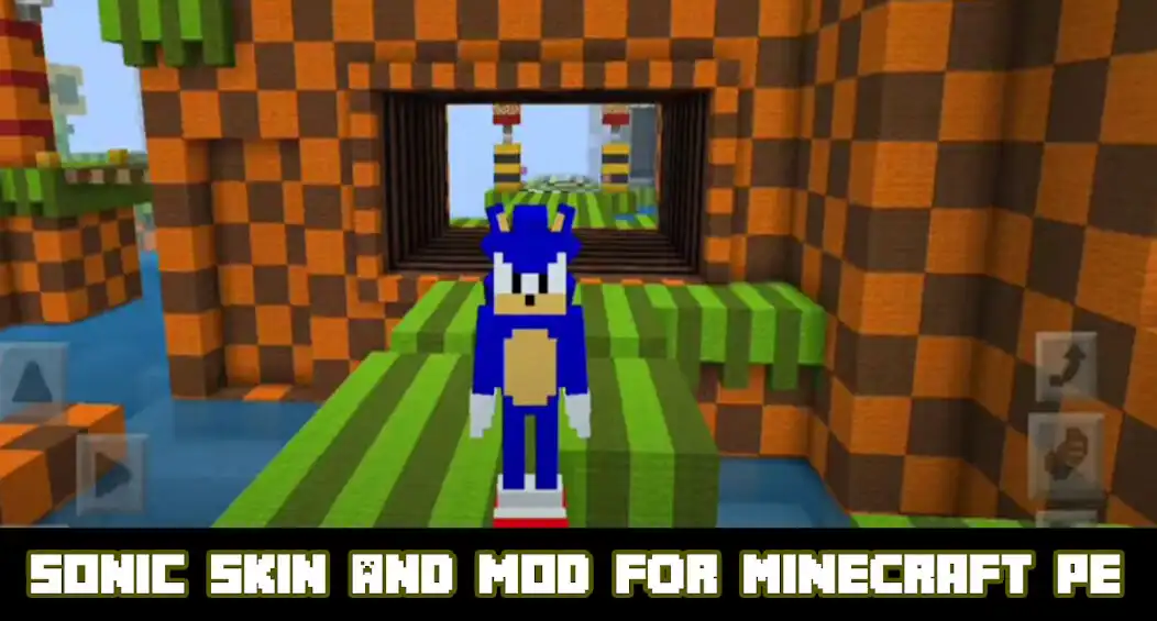 Play Skins Soniic-for Minecraft as an online game online Skins Soniic-for Minecraft with UptoPlay Play Skins Soniic-for Minecraft as an online game Skins Soniic-for Minecraft with UptoPlay