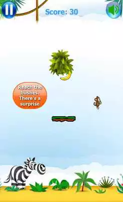 Play Skip Jack Monkey