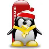 Free play online Ski Record APK