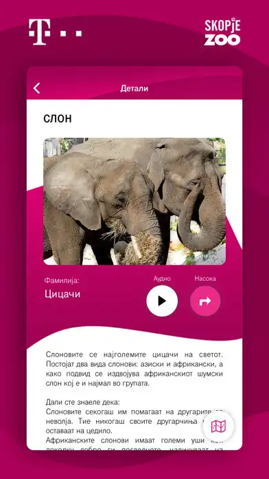 Play Skopje ZOO and enjoy Skopje ZOO with UptoPlay Play Skopje ZOO and enjoy Skopje ZOO with UptoPlay