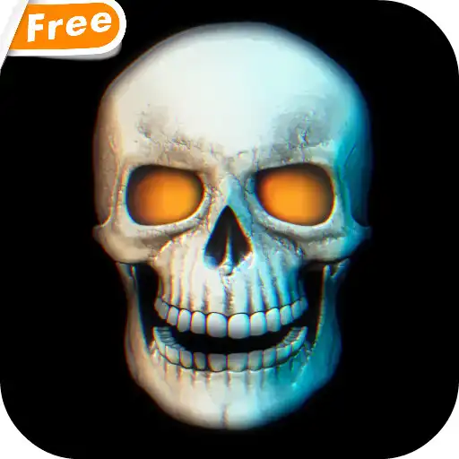 Play Skull 3D Video Theme Wallpaper APK