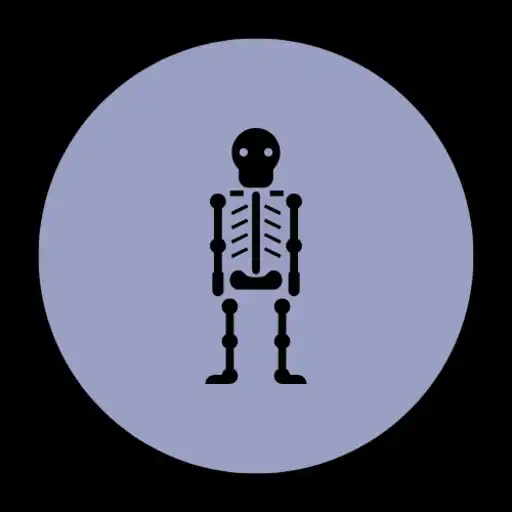 Play skull anatomy APK Play skull anatomy APK