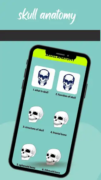 Play skull anatomy  and enjoy skull anatomy with UptoPlay