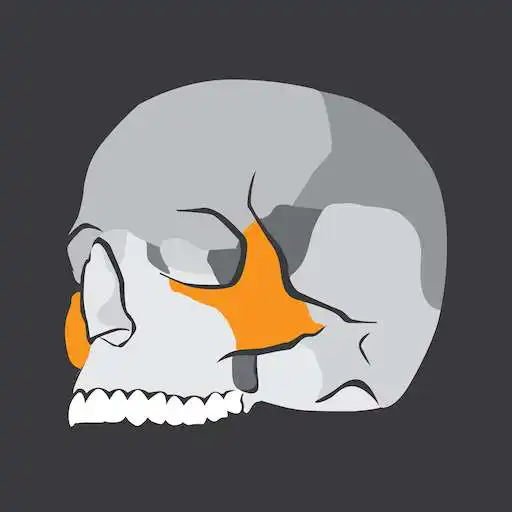 Play Skull Osteology APK Play Skull Osteology APK