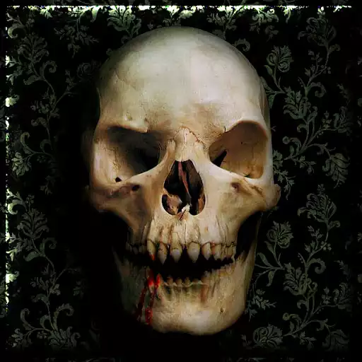 Free play online Skulls Live Wallpaper  APK