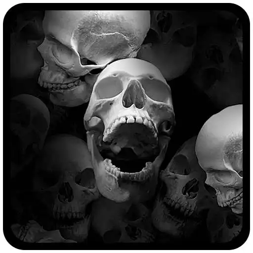 Free play online Skull Snow Skeletons. Theme for CM Launcher  APK