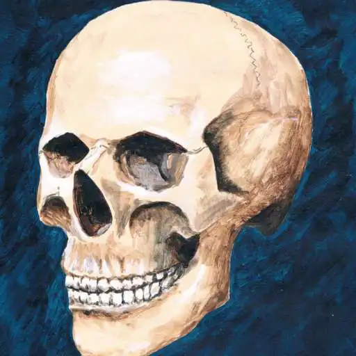 Play Skully Portrait Poser APK