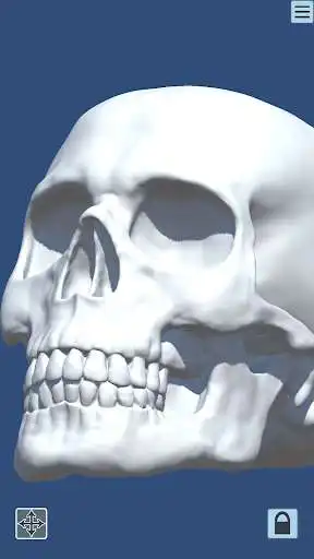 Play Skully Portrait Poser  and enjoy Skully Portrait Poser with UptoPlay