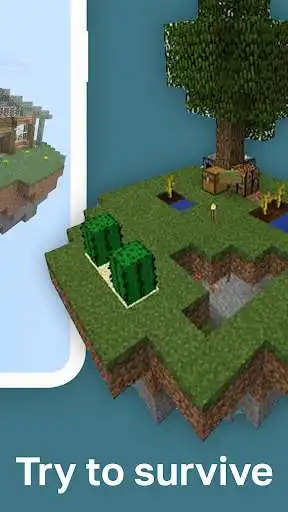 Play Skyblock Survival