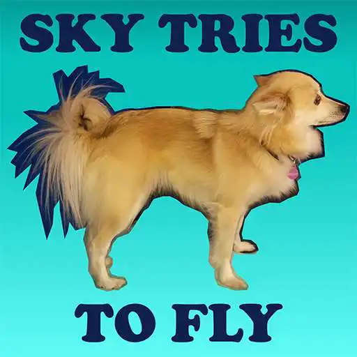 Play Sky tries to fly APK