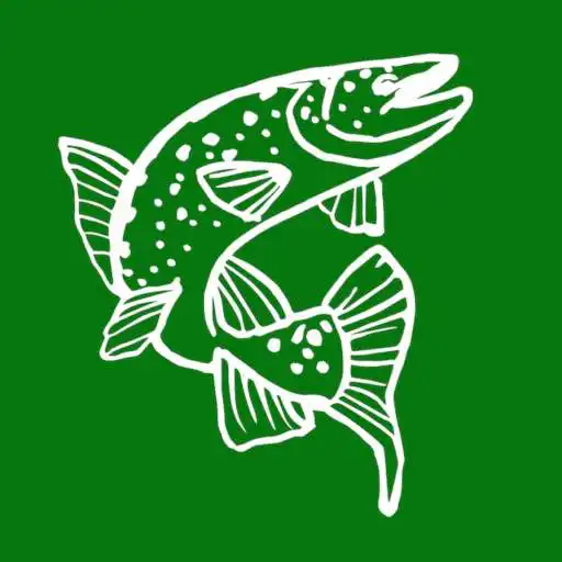 Play Slaney Fishing APK