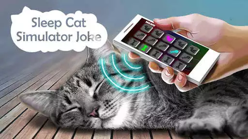 Play Sleep Cat Simulator Joke  and enjoy Sleep Cat Simulator Joke with UptoPlay