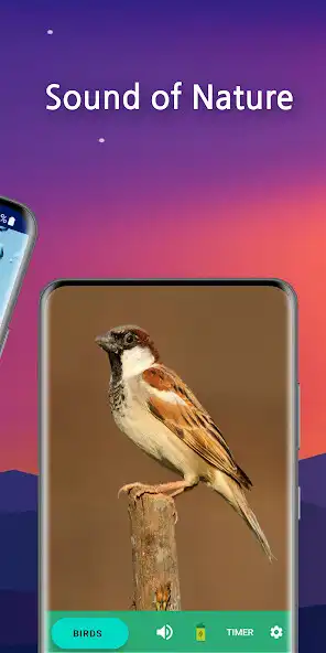 Play Sleep Faster, Meditation Pro as an online game Sleep Faster, Meditation Pro with UptoPlay