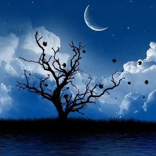 Play Sleep Music : Offline Support APK