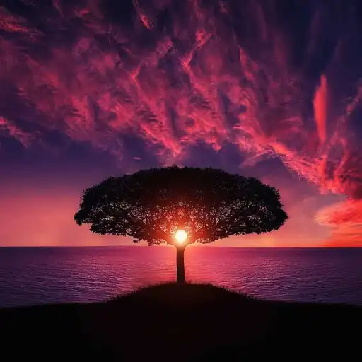 Play Sleep Sounds - Nature Relax APK