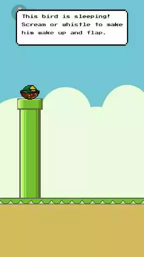 Play Sleepy Bird