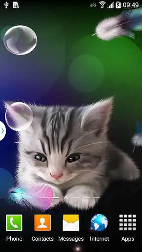 Play Sleepy Kitten Wallpaper Lite  and enjoy Sleepy Kitten Wallpaper Lite with UptoPlay