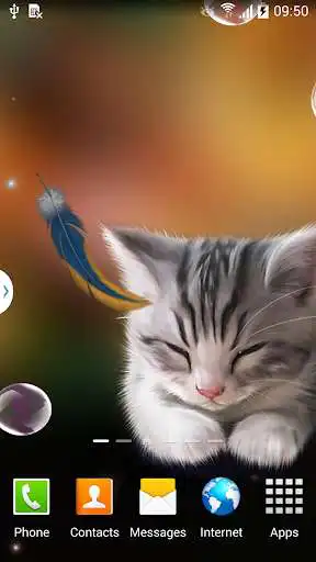 Play Sleepy Kitten Wallpaper Lite as an online game Sleepy Kitten Wallpaper Lite with UptoPlay