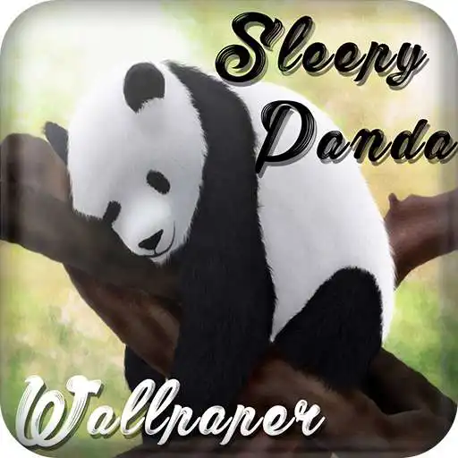 Play Sleepy panda wallpapers APK