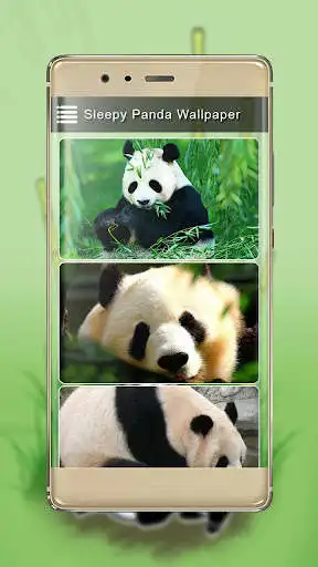 Play Sleepy panda wallpapers as an online game online Sleepy panda wallpapers with UptoPlay com.future.sleepypandawallaper Play Sleepy panda wallpapers as an online game Sleepy panda wallpapers with UptoPlay