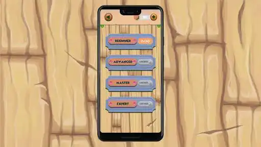 Play Slide Ball