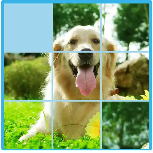 Play Slide Block Puzzle APK Play Slide Block Puzzle APK