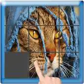 Free play online Slide Puzzle ,With Any Picture APK Free play online Slide Puzzle ,With Any Picture APK