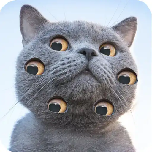 Play Sliding Jigsaw Puzzle APK