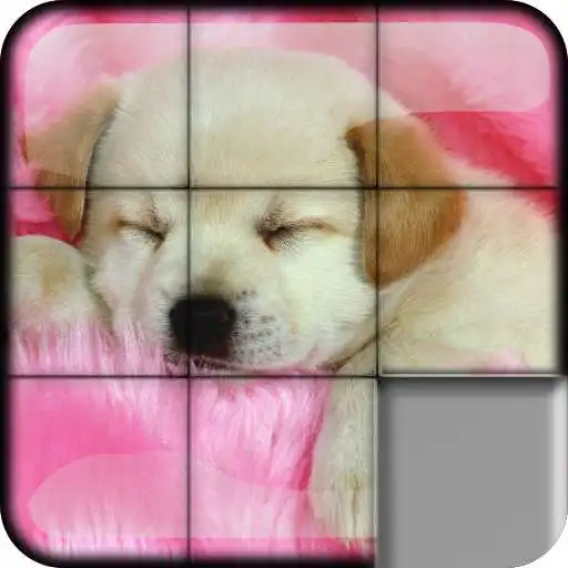 Free play online Sliding Puzzle Dogs Puppies APK Free play online Sliding Puzzle Dogs Puppies APK
