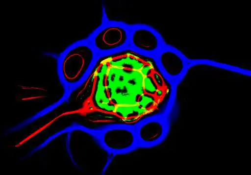 Play Slime Art  and enjoy Slime Art with UptoPlay