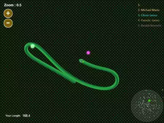 Play Slither Snake Fight io