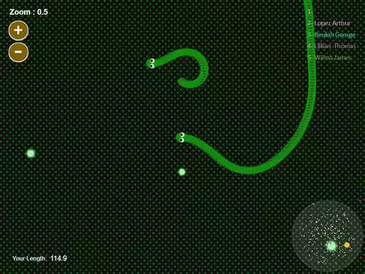 Play Slither Snake Fight io