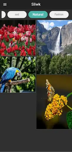 Play sliwk as an online game sliwk with UptoPlay