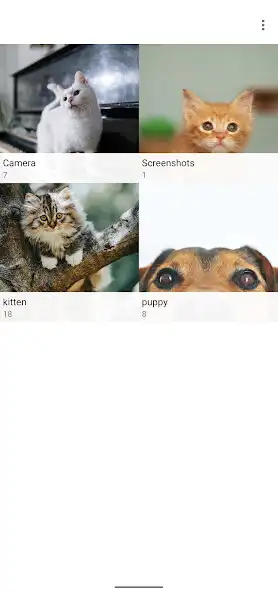 Play Slot Gallery  and enjoy Slot Gallery with UptoPlay