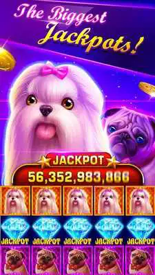 Play Slots:Irish luck slot machines
