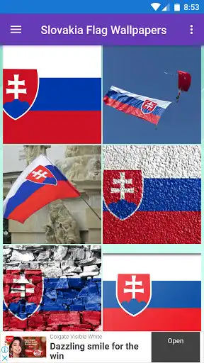 Play Slovakia Flag Wallpaper: Flags, Country HD Images  and enjoy Slovakia Flag Wallpaper: Flags, Country HD Images with UptoPlay