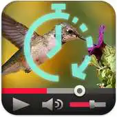 Free play online Slow Motion Fast Forward Video APK