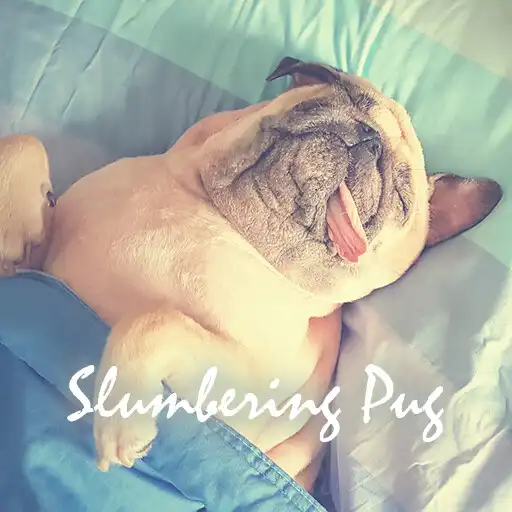 Play Slumbering Pug Theme +HOME APK Play Slumbering Pug Theme +HOME APK