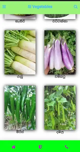 Play SL vegetables  and enjoy SL vegetables with UptoPlay