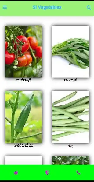 Play SL vegetables as an online game SL vegetables with UptoPlay