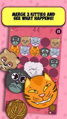 Play Sly Kittens!