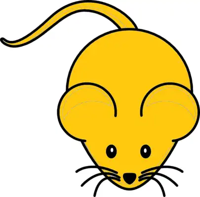 Play Smack a Rat GOLD(NOW FREE)