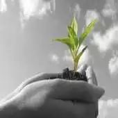 Free play online Small Church Growth APK