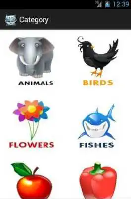 Play Smart Child